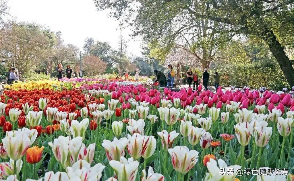 世界花园风景,世界花园