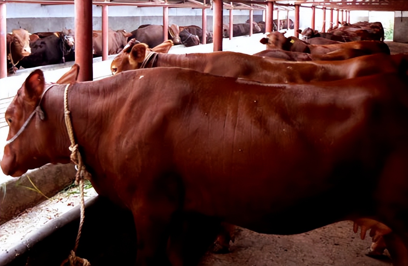 <html>
<head><title>502BadGateway</title></head>
<body>
<center><h1>502BadGateway</h1></center>
<hr><center>nginx</center>
</body>
</html>
<!--apaddingtodisableMSIEandChromefriendlyerrorpage-->
<!--apaddingtodisableMSIEandChromefriendlyerrorpage-->
<!--apaddingtodisableMSIEandChromefriendlyerrorpage-->
<!--apaddingtodisableMSIEandChromefriendlyerrorpage-->
<!--apaddingtodisableMSIEandChromefriendlyerrorpage-->
<!--apaddingtodisableMSIEandChromefriendlyerrorpage-->
