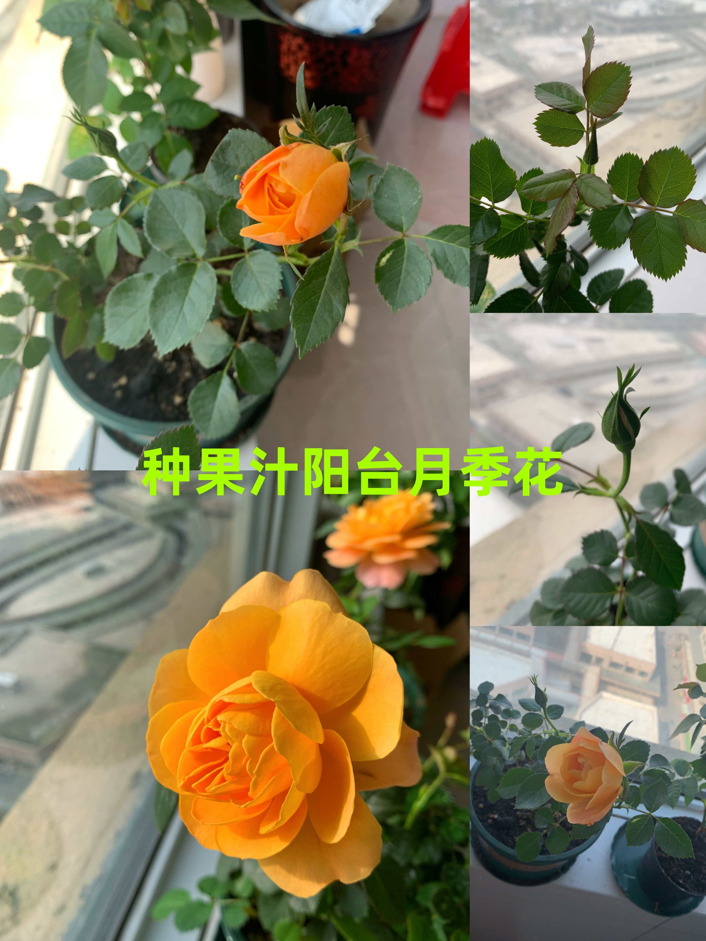 失业在家一年后的迷茫,失业半年了我该怎么走出来