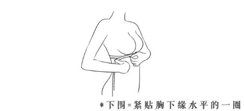 怎么给女朋友挑大小合适的内衣,如何帮女朋友胸塑形