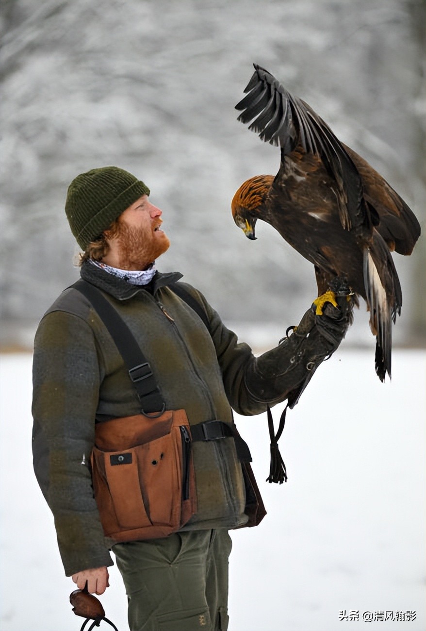 z9拍鸟照片,z9相机购买攻略