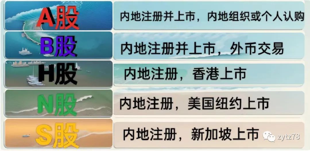 股票的分类,股票账户分类