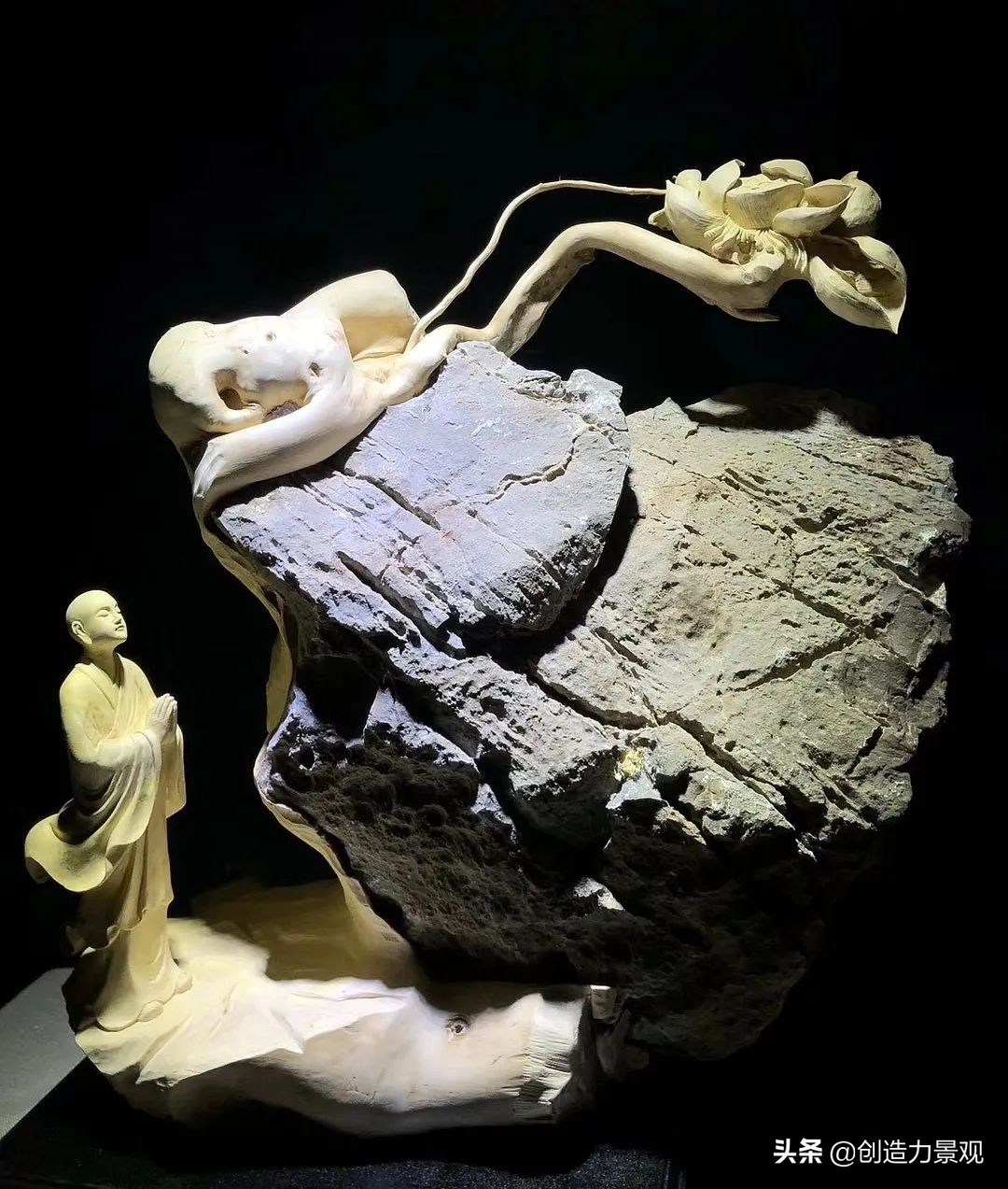 一花一草一世界原创花草,一花一草一世界赏花享受最好时光