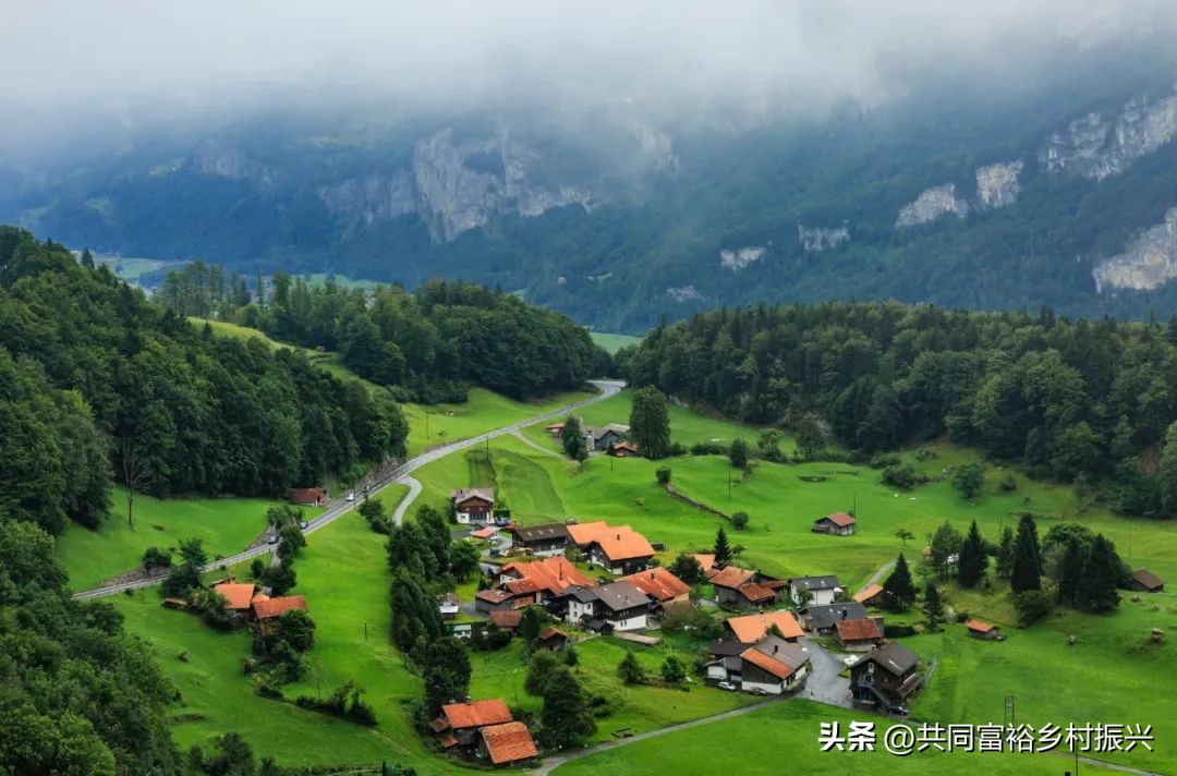 2023年全国乡村振兴优秀案例,乡村振兴典型案例5000字材料