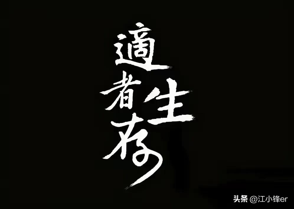 一条评论被点赞,一条评论毁三观