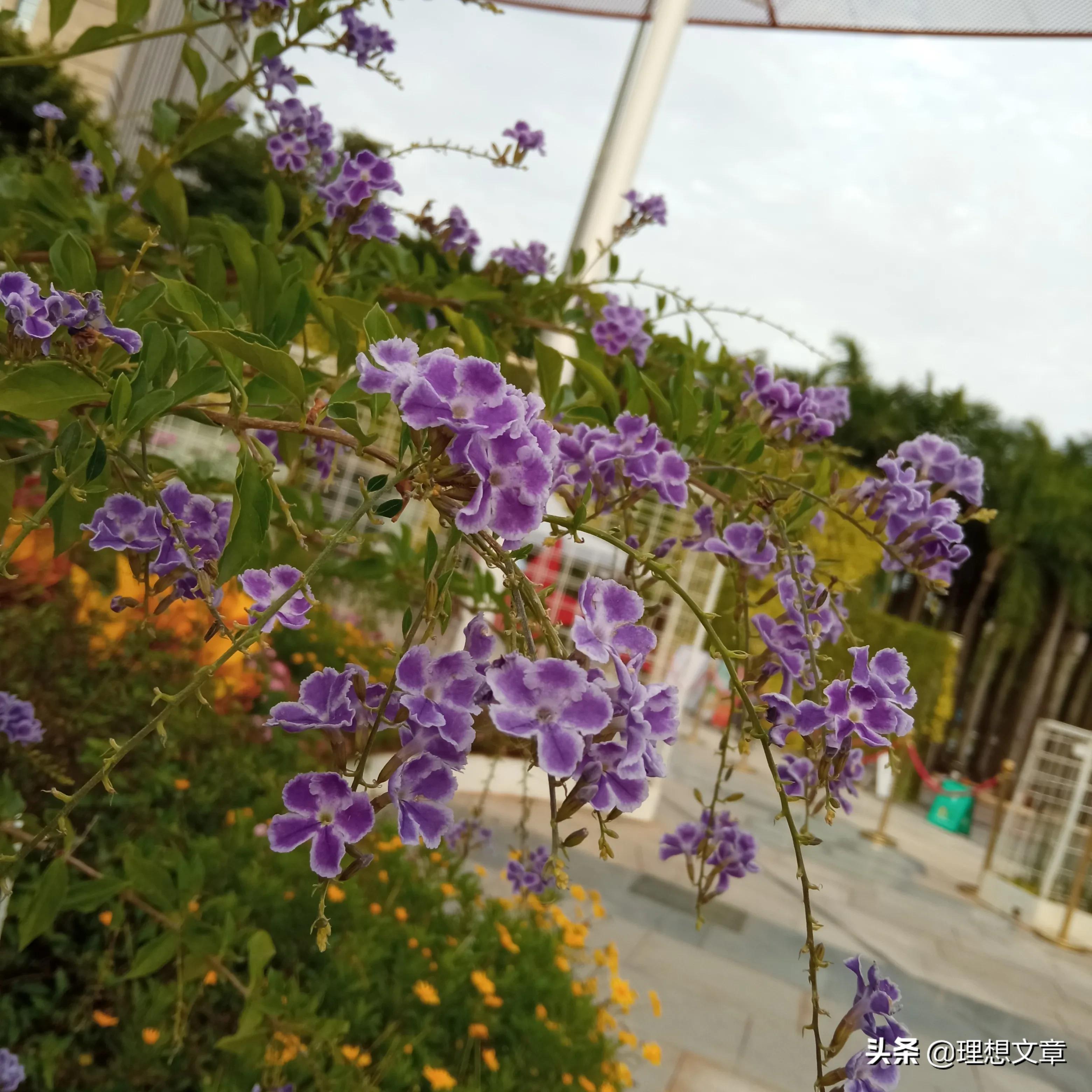 投资小利润高的创业项目有哪些,自主创业小项目投资少见效快