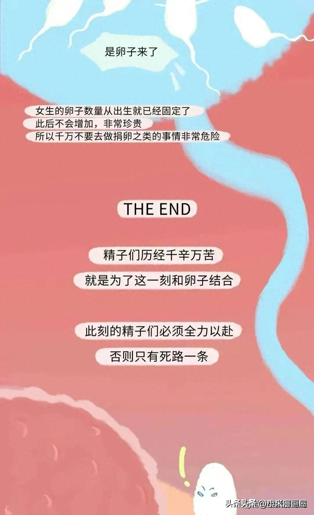 小蝌蚪找妈妈故事完整漫画,漫画中小蝌蚪是什么