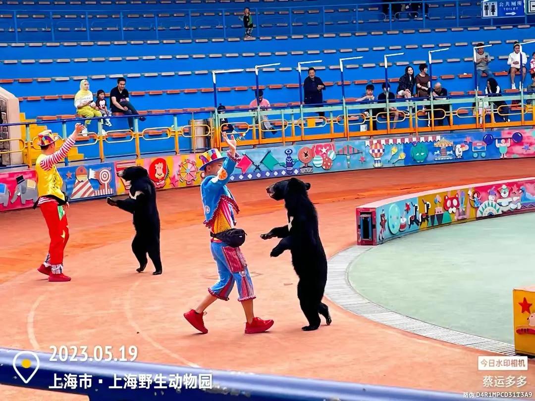 上海野生动物园和上海动物园,上海野生动物园过年营业时间