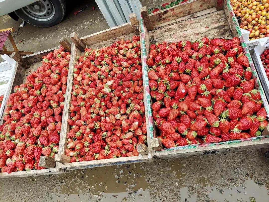 烟台水果物价,烟台地区最新的水果价格