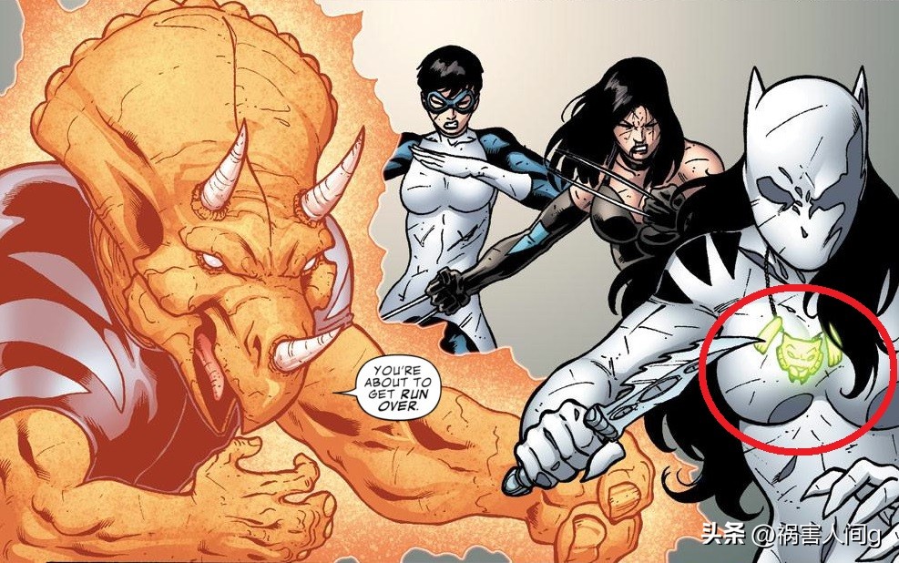 凤凰之力的对应物：初堕者、黑贝特、妖精之力、虎神和星鹰