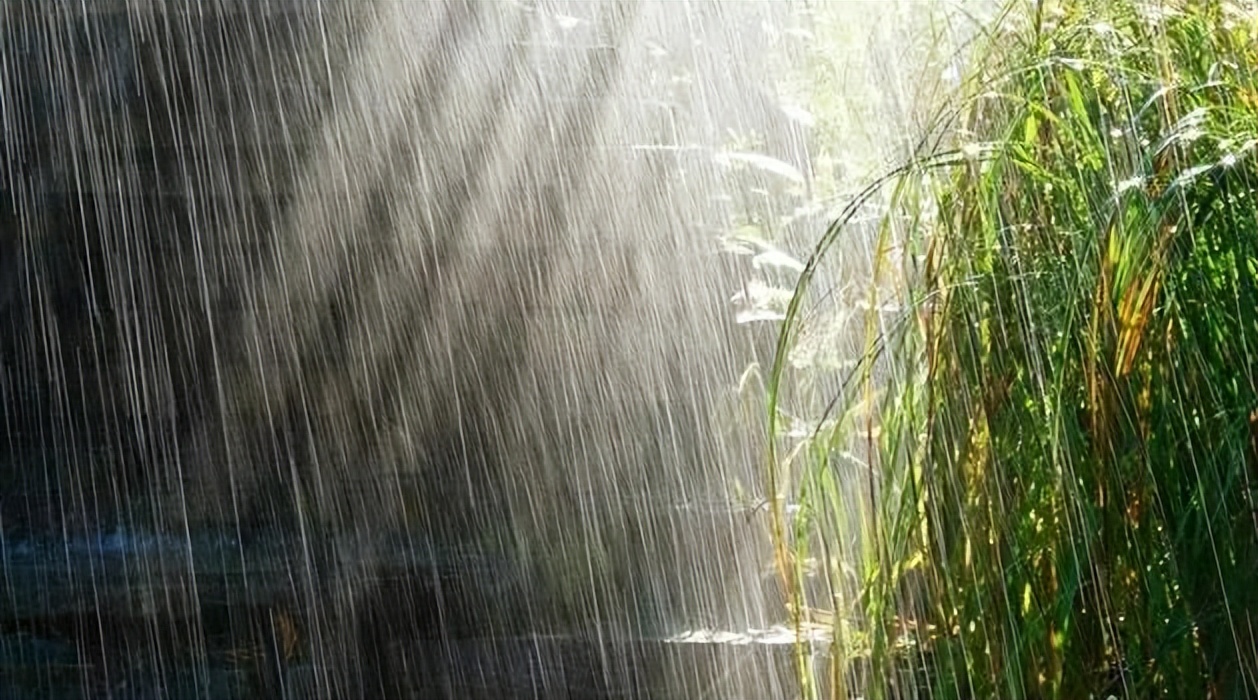 防水湿铺法工艺流程,卫生间湿铺防水做法