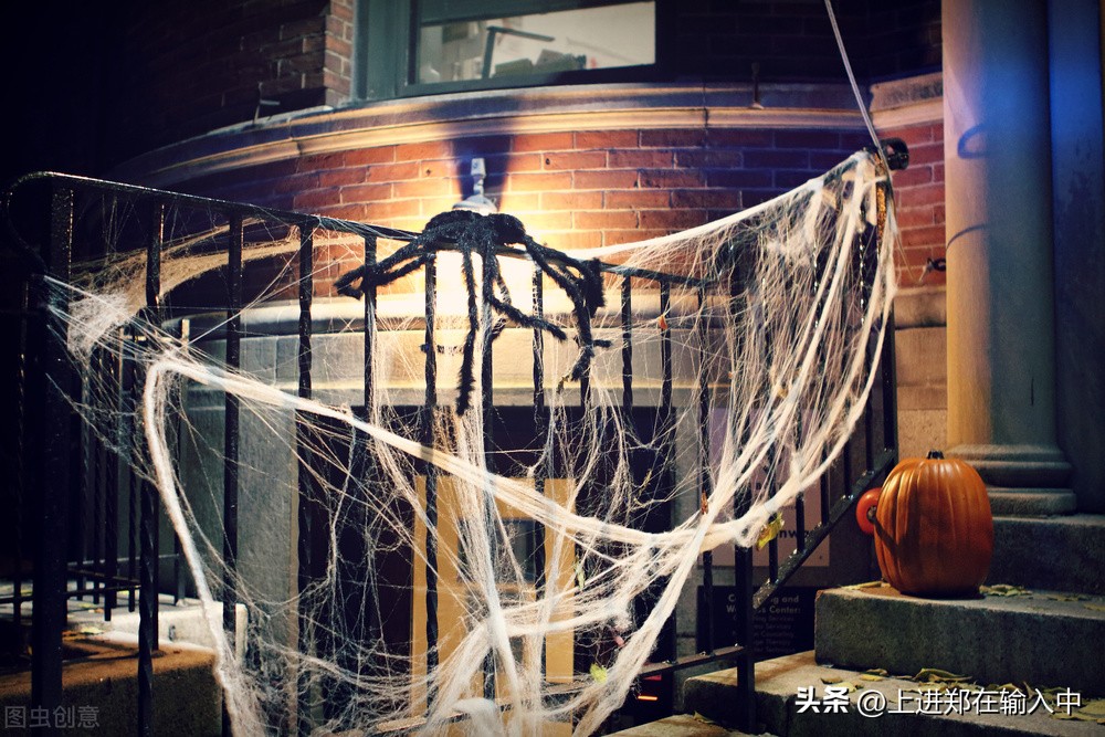 尖毛草定律详解,让人敬畏的尖毛草定律