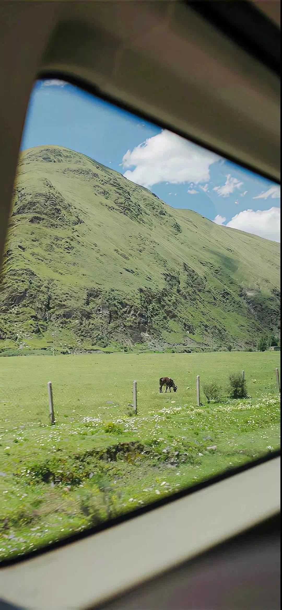 春天清新壁纸图片大全,手机壁纸春天风景超清