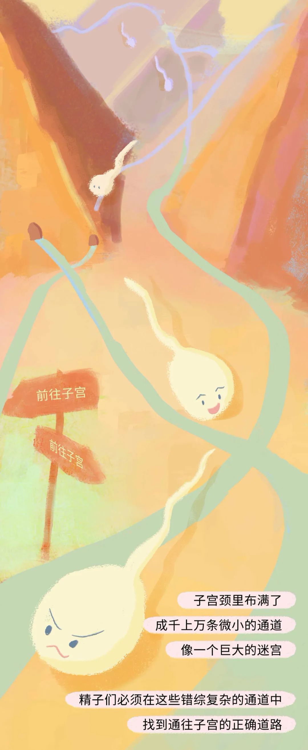 精子进入女生体内的全过程！（漫画）