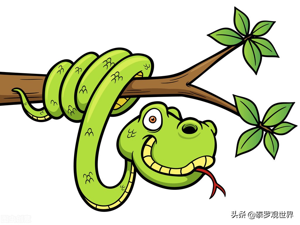 蛇为什么会把蛇打死,打蛇一定要打死不然蛇会来报复你