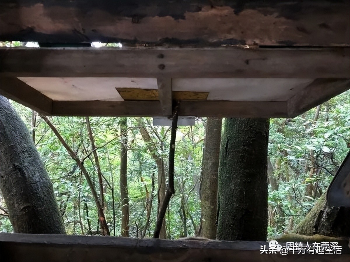 香港徒步麦理浩径全程攻略介绍,香港狮子山徒步攻略