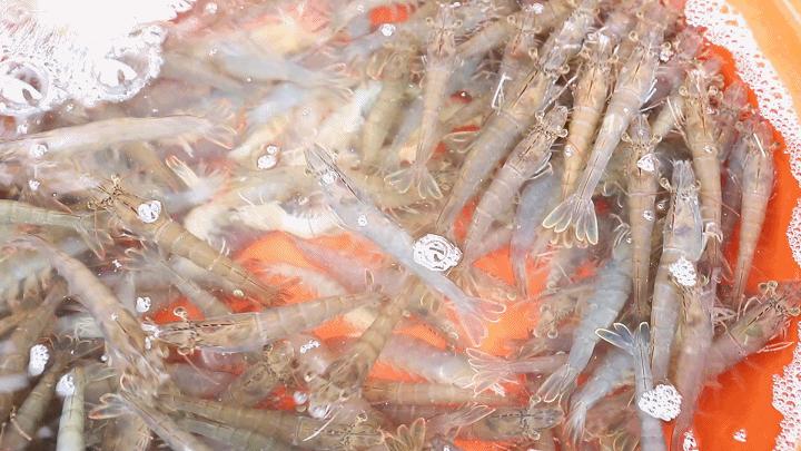 连江海边海景,连江海景推荐