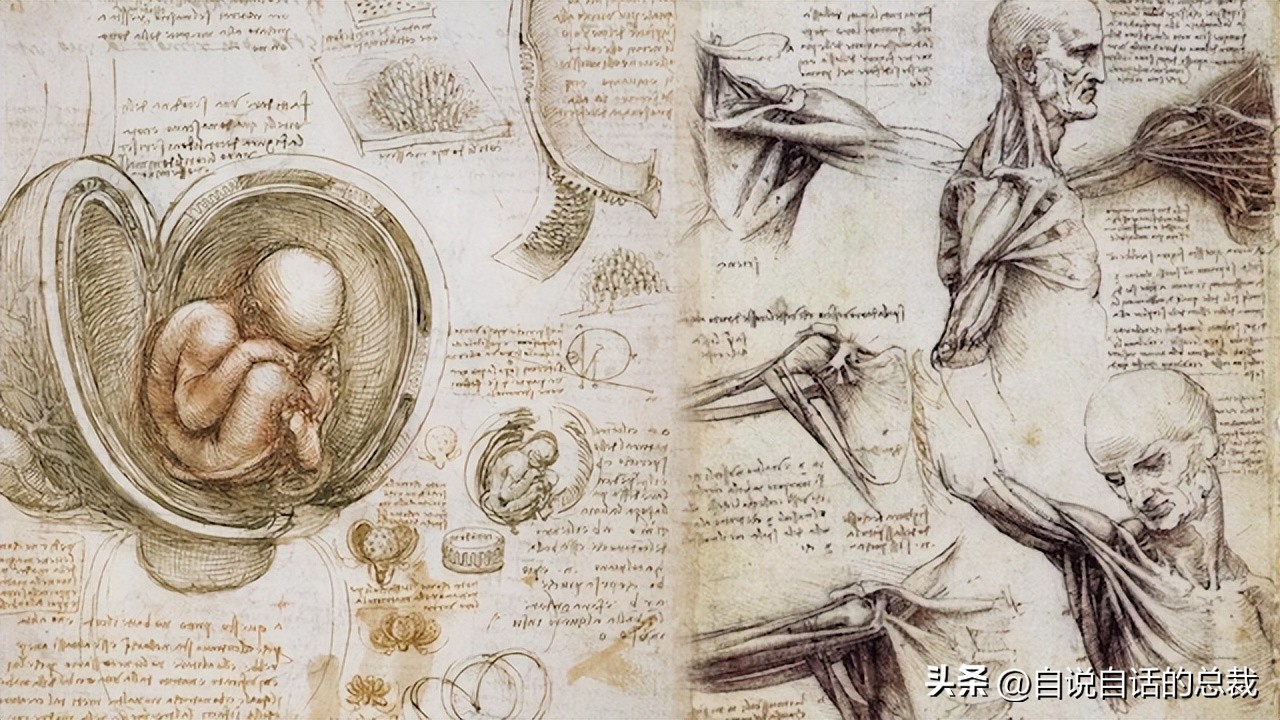 达芬奇密码圣杯为什么在卢浮宫,达芬奇名画未解之谜