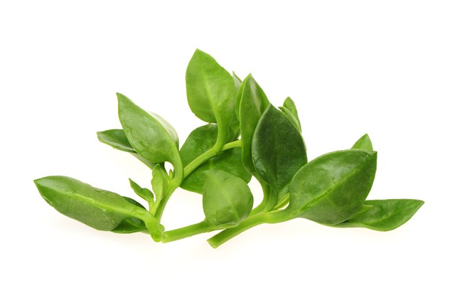 步长清热解毒胶囊功效,清热解毒胶囊功效作用