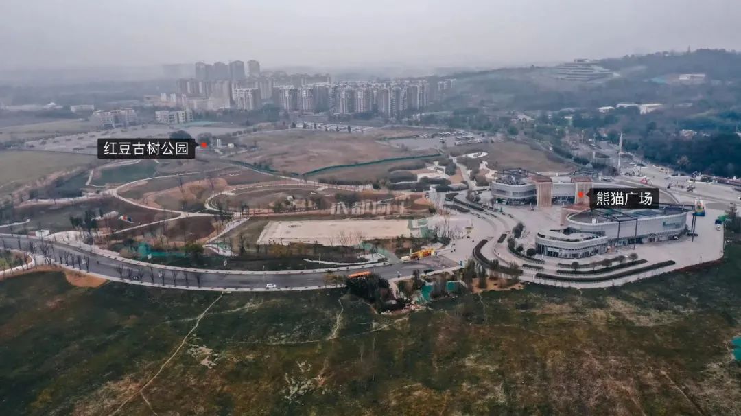 熊猫基地扩建园区,熊猫基地扩建最新