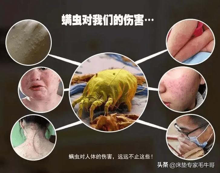 买床垫避坑视频,买床垫怎么选不踩坑最好