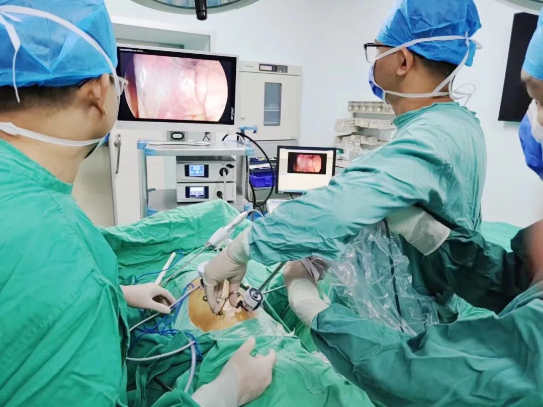 食管胃粘膜异位症内镜下手术,食管裂孔疝经口腔内镜治疗