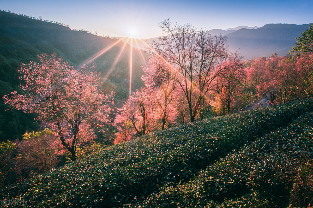 云贵川三地好玩的地方,云贵川附近哪个景点景色最好