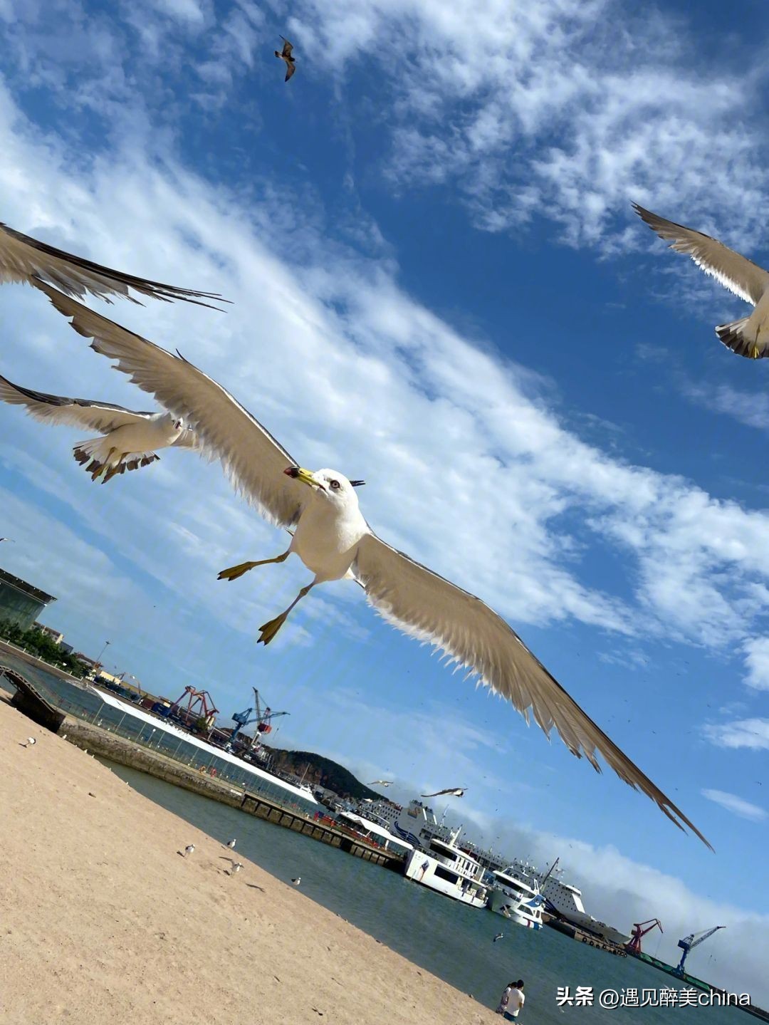 适合避暑养老的地方,全国最适合避暑的十大城市