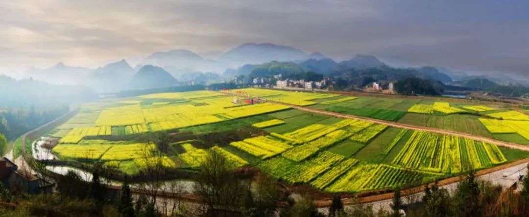 黄石四a景区开放了吗,黄石免费景区一览表