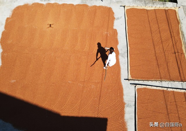 残疾人就业难、工资低、福利待遇低，怎么办？