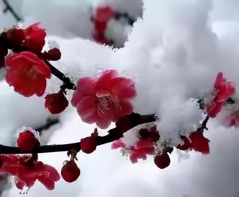 李商隐10首经典诗词作品集,李商隐最有名的20首诗及解释