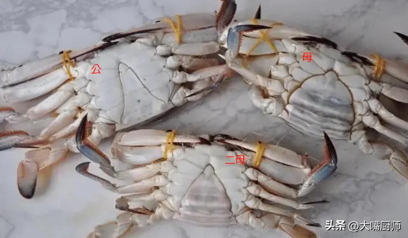 水产市场梭子蟹挑选方法,海鲜市场梭子蟹怎么挑选有肉肥