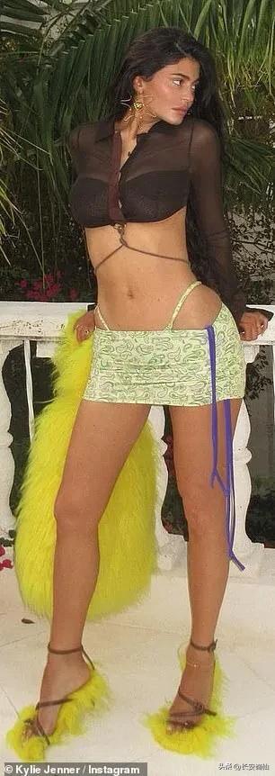 美国女星詹纳只承认自己做过隆胸手术，国际医生却指出她撒谎了