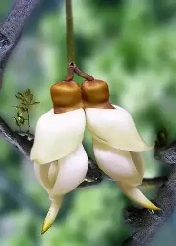 怎样保持一段长久关系,怎样的关系才会长久