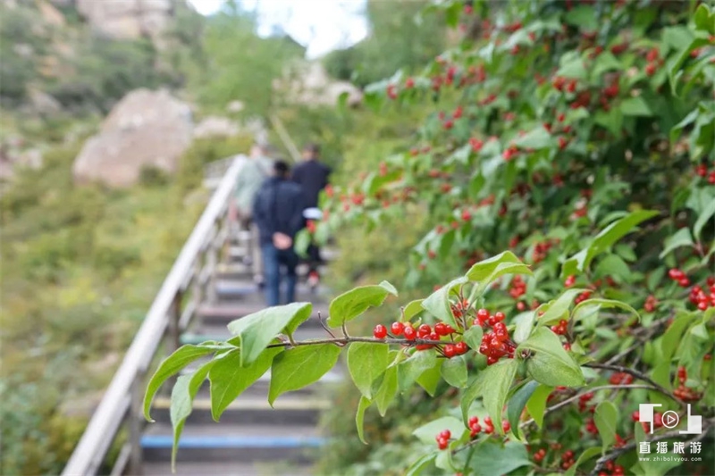 黄花沟旅游攻略10月份吃什么,黄花沟旅游攻略