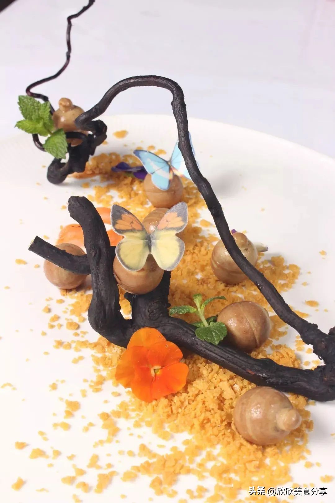 精品赏析22款凉菜竟可如此精美,11道精美凉菜味道更重要