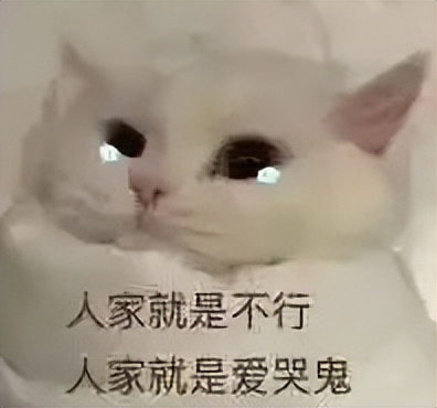 必胜客新人羊毛,必胜客必胜优选是必胜客吗