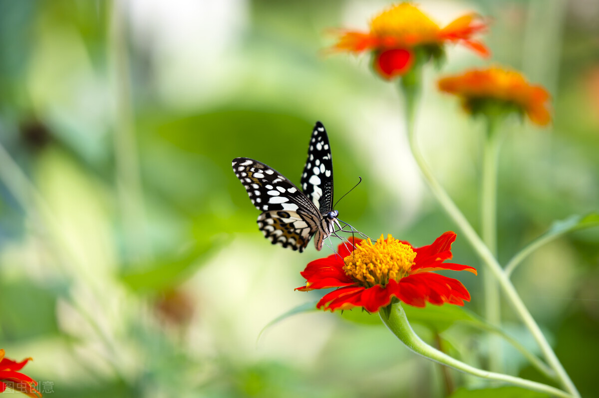 多少岁该做寿有什么讲究,做寿年龄讲究七十七是什么寿