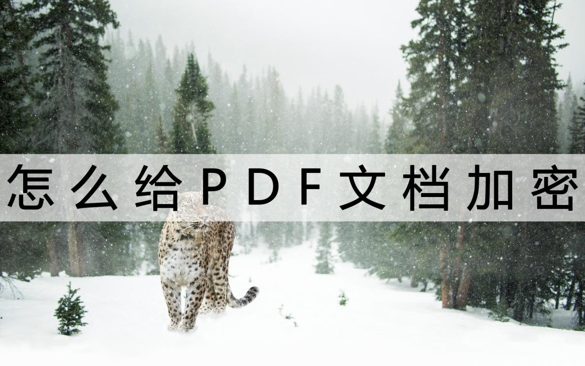 pdf插入的电子签名怎样防止盗用,pdf盖电子章后如何不被盗用
