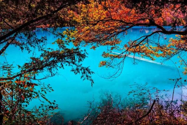 你没见过的雪后九寨沟,你见过雪景吗