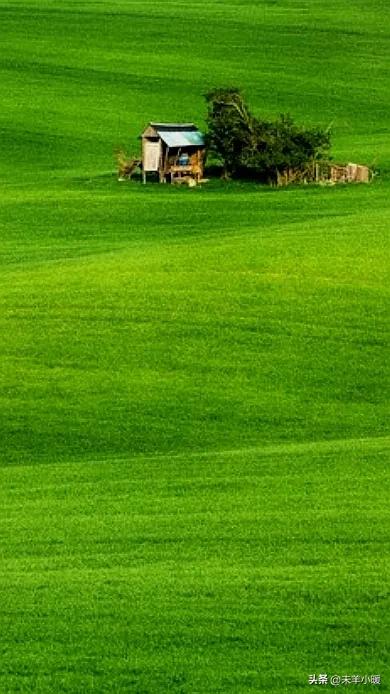 超清超美独一无二手机壁纸图片,养眼养心的壁纸