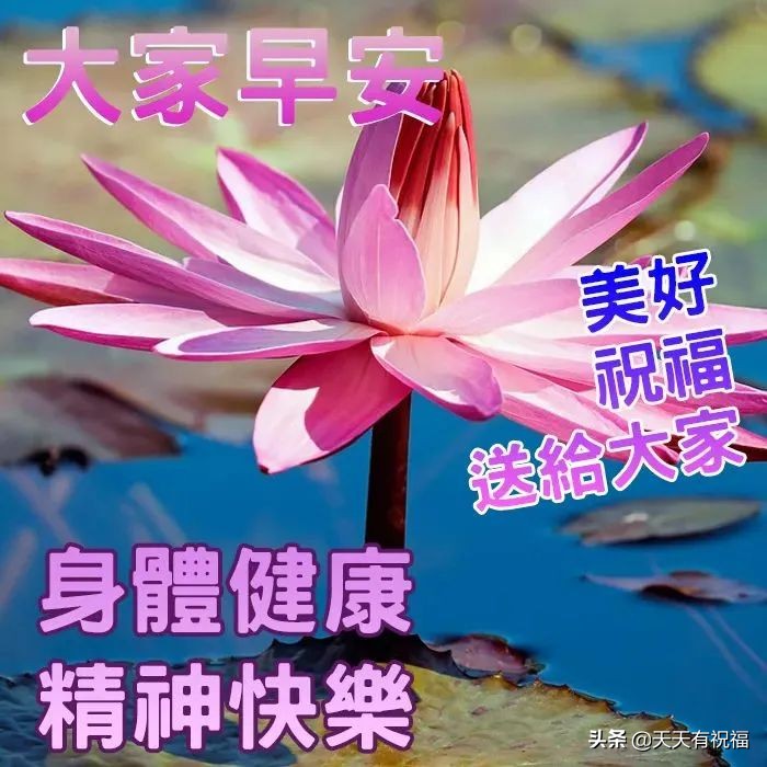 最漂亮早安问候语带字图片大全,早安问候语超漂亮图片带字