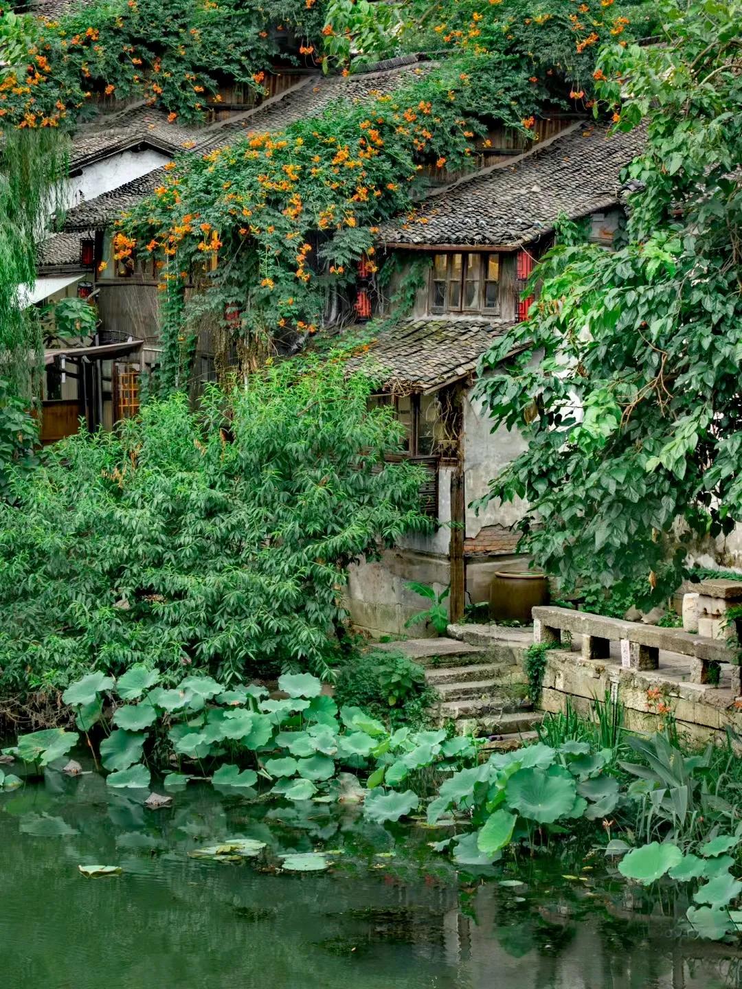 杭州最适合自驾游的地方,杭州最值得去的景点是哪些