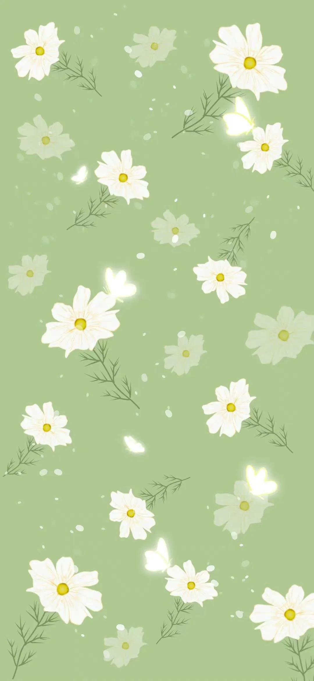 手机壁纸ins风夏日黑白,手机壁纸小清新绿色柠檬