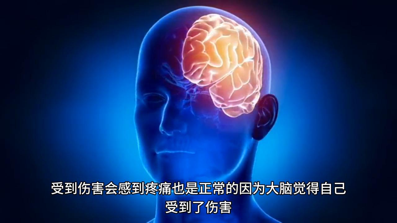 对不起您拨打的电话无人接听素材,对不起您拨打的电话无人接听铃声