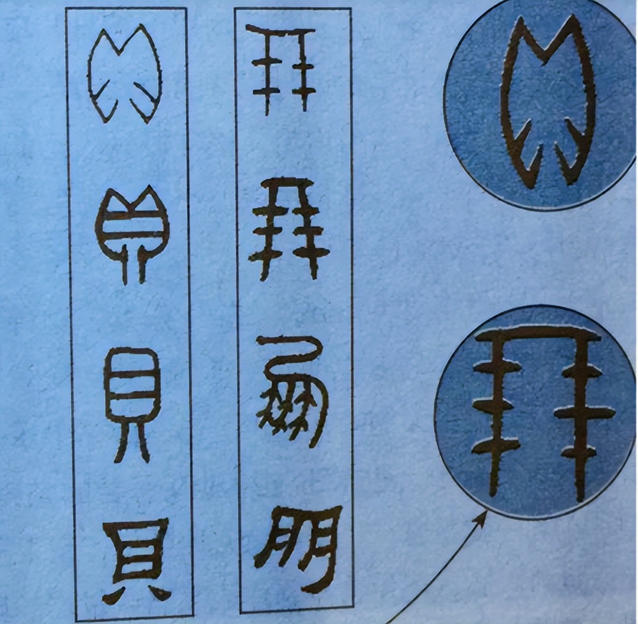 海南海鲜贝类有哪些,海南海鲜贝类