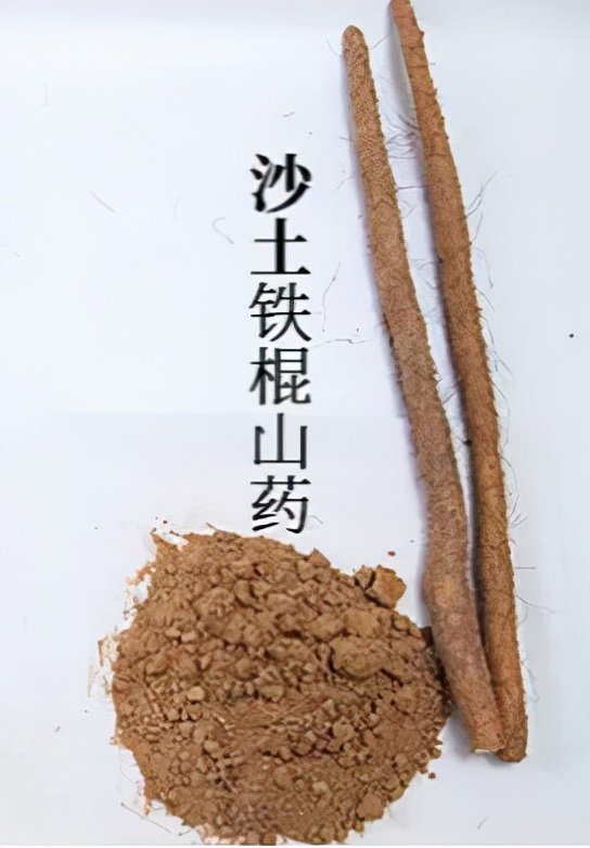 新鲜山药滋补养生,山药养生必备