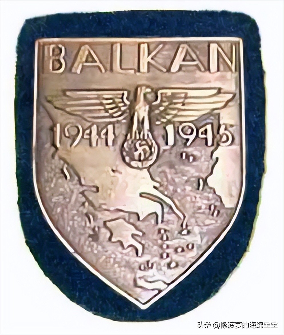 霍尔姆盾章二战德国,二战德国军奖章