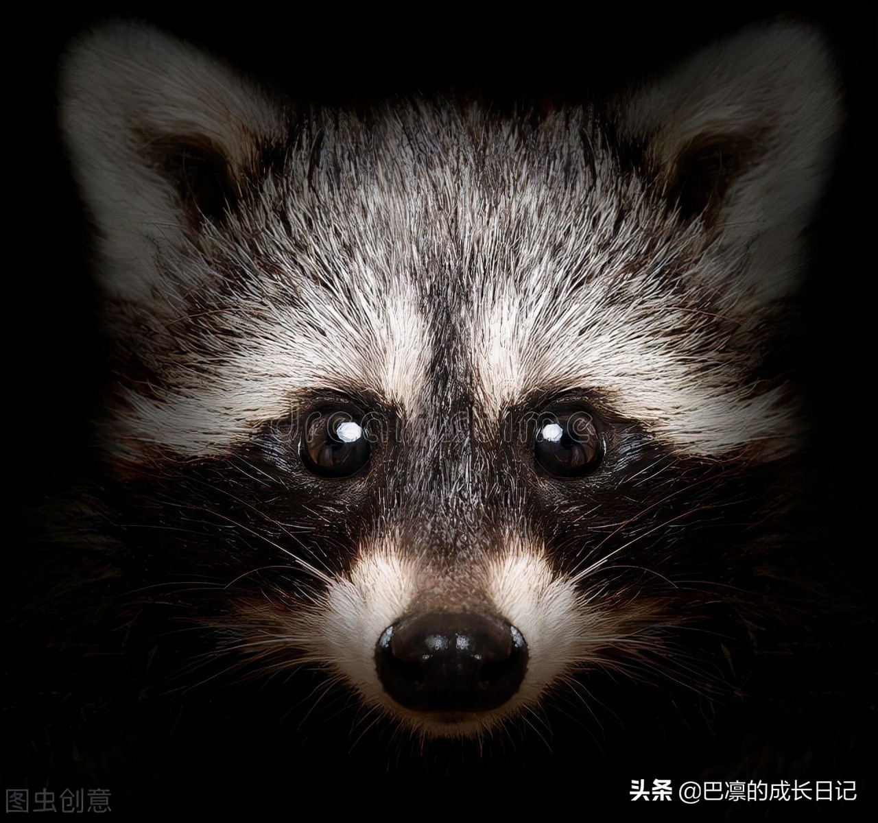 花呗当月消费下月分期,淘宝花呗分期免手续费有陷阱吗
