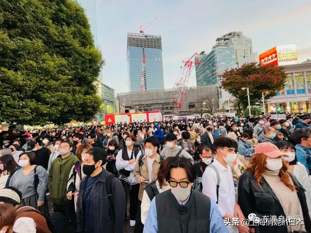 日本抢购的汉方药,日本感冒药断货